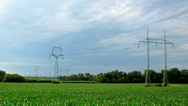 鸿运国际·(中国)集团-鸿运官网接待你